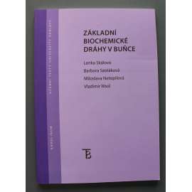 Základní biochemické dráhy v buňce (edice: Učební texty Univerzity Karlovy) (biochemie, buněčný metabolismus, cytochemie)