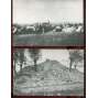 Lidice