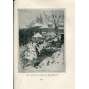 Topičův sborník literární a umělecký, ročník V./1917-1918 (2 svazky) - vazba kůže - polokožená