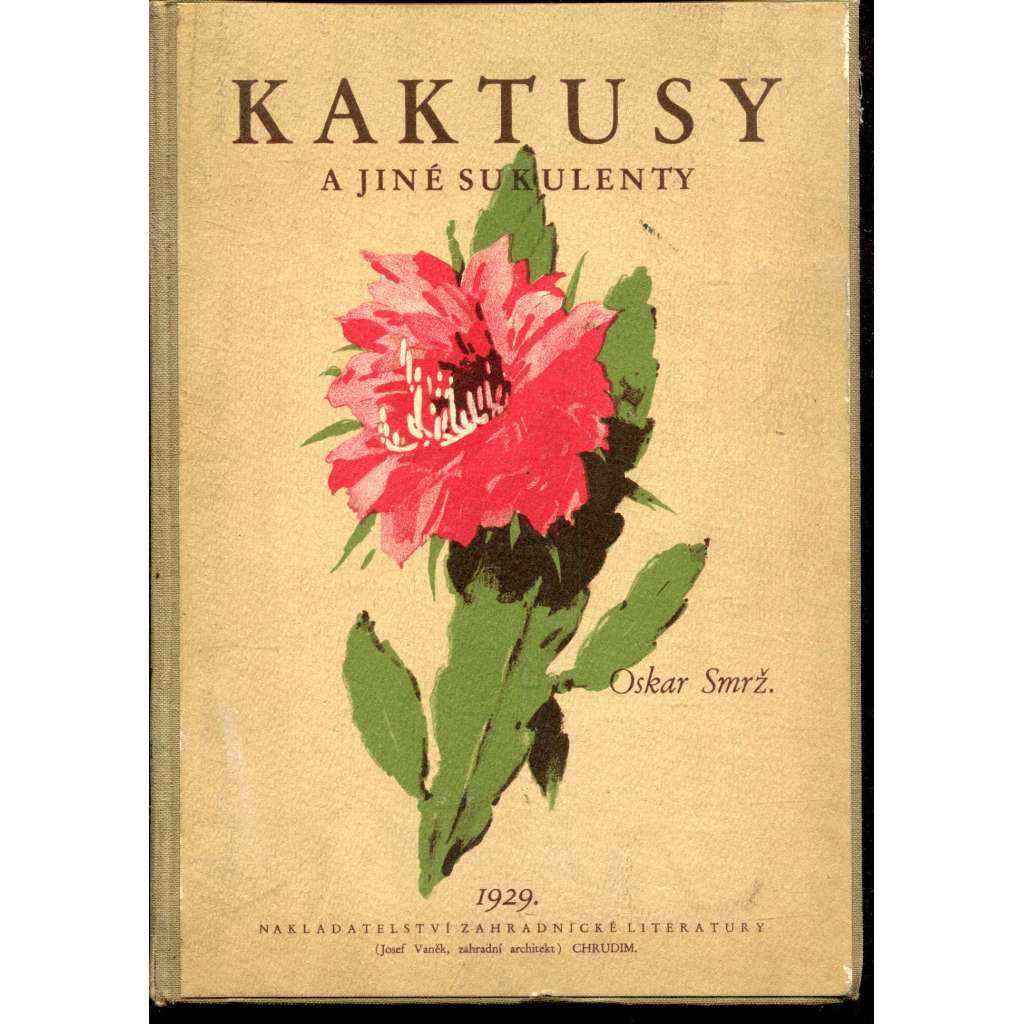 Kaktusy a jiné sukulenty