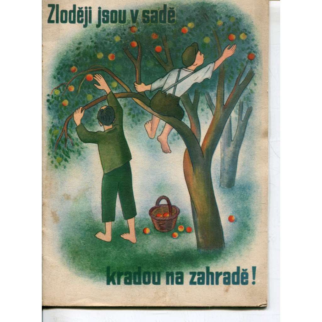 Zloději jsou v sadě, kradou na zahradě! (škůdci ovocných stromů, ovoce, ovocné stromy)