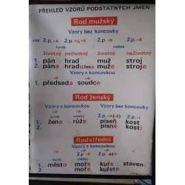 Přehled vzoru podstatných jmen - Český jazyk, mluvnice, skloňování, podstatná jména, tvarosloví - školní plakát - výukový obraz