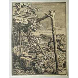 Dubrovník I. (Bohumír Jaroněk, dřevořez)