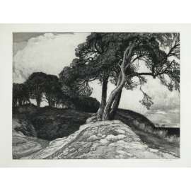 Stromy u vody Otto Fischer (1870-1947) lept
