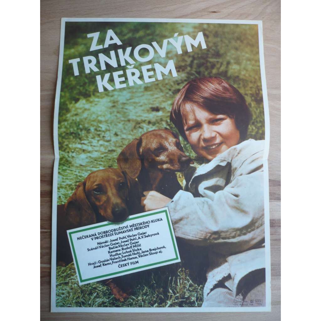 Za trnkovým keřem (filmový plakát, film ČSSR, režie Václav Gajer, hrají Gustáv Valach, Tomáš Holý)