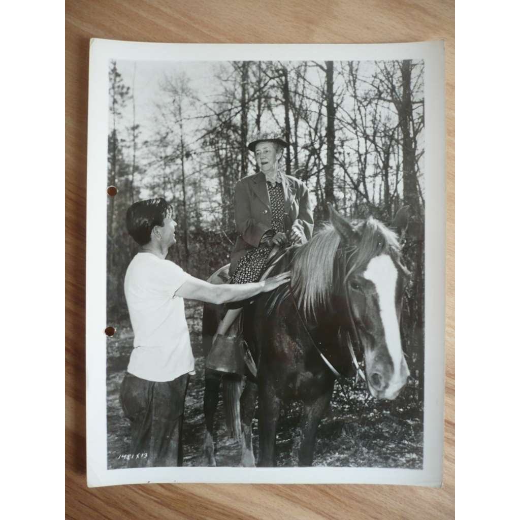 Fotoska - Intruder in the Dust (film USA 1949 - režie Clarence Brown, hrají David Brian, Claude Jarman Jr., Juano Hernandez) - ORIG. CINEMA-PHOTO