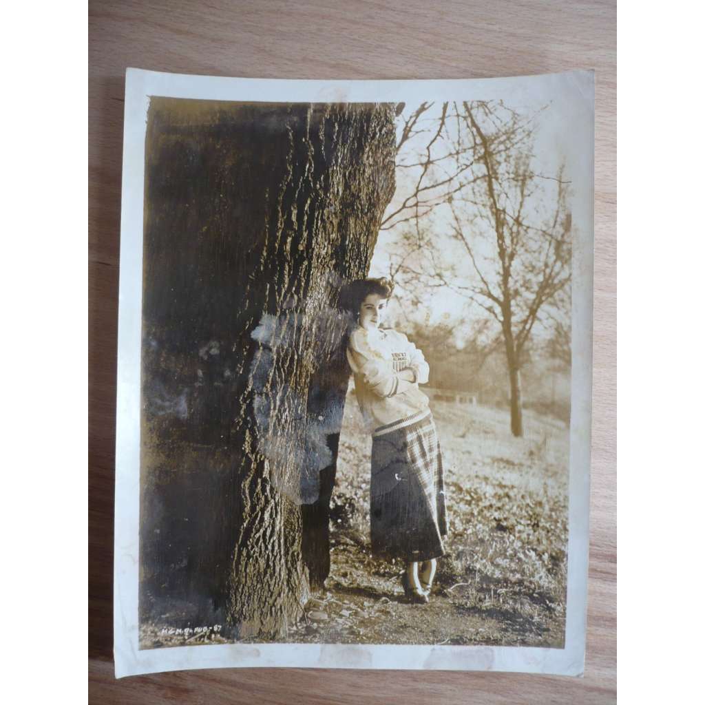 Fotoska - Conspirator (film USA 1949 - režie Victor Saville, hrají Robert Taylor, Elizabeth Taylor) - ORIG. CINEMA-PHOTO