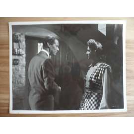 Fotoska - The rake´s progress (film USA - hrají Margaret Johnston) - ORIG. CINEMA-PHOTO