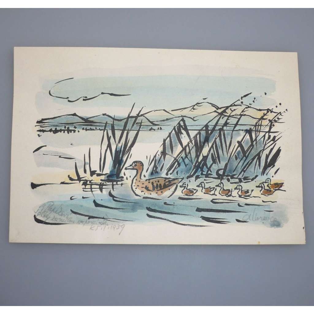 Alois Moravec (1899 - 1987) - Kachny (1958) - Akvarel, signovaná grafika