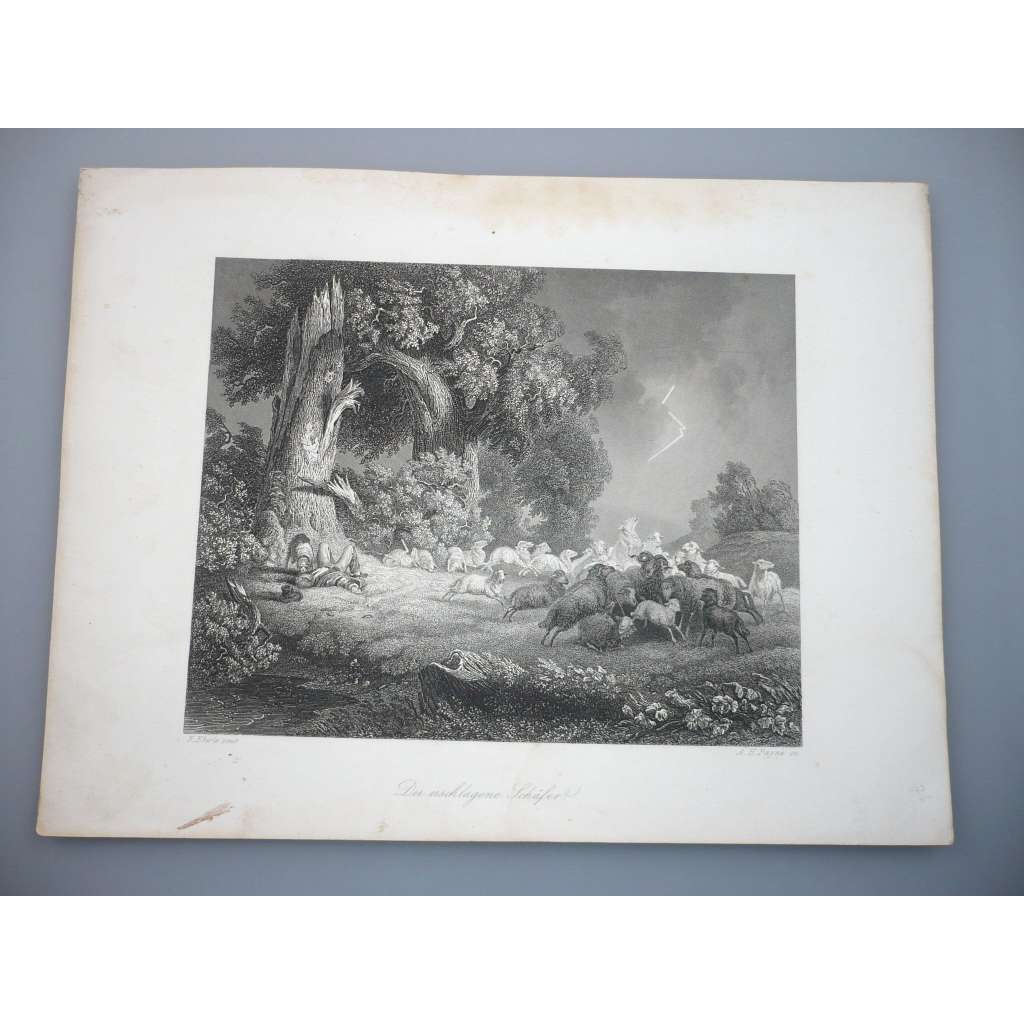 Albert Henry Payne (1812 - 1902) - Zbit bleskem, oceloryt - signovaná grafika
