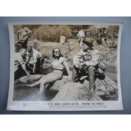 Fotoska - Tam za lesy / Beyond the forest (film USA 1949, režie King Vidor, Hrají: Bette Davis, Joseph Cotten, David Brian) - ORIG. CINEMA-PHOTO