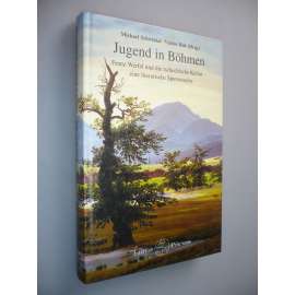 Jugend in Böhmen. Franz Werfel und die tschechische Kultur - eine literarische Spurensuche: Beiträge des internationalen Symposions in Budweis (Ceske' Budejovice) vom 12. bis 15. März 1998 (mládež, česká kultura, Čechy)