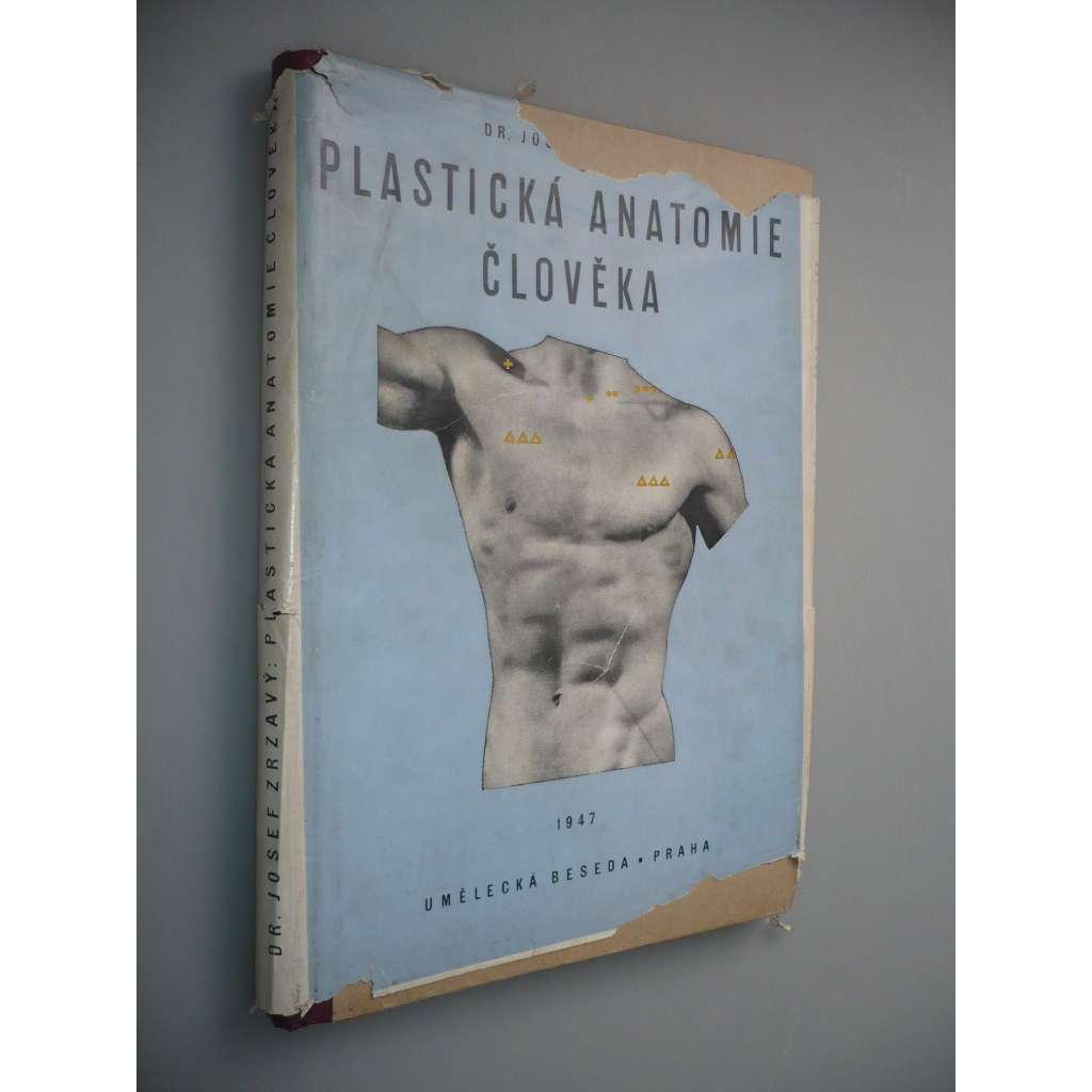 Plastická anatomie člověka pro umělce a přátele umění