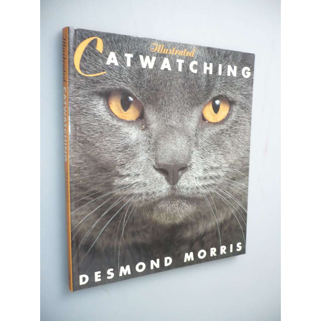Illustrated Catwatching (kočky, kočka)