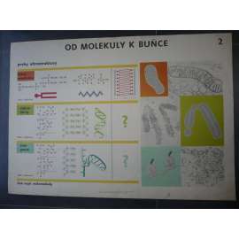 Od molekuly k buňce - přírodopis - školní plakát, výukový obraz