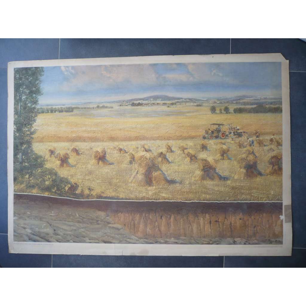 Krajina a půdní typ - Zdeněk Burian - přírodopis - školní plakát, výukový obraz