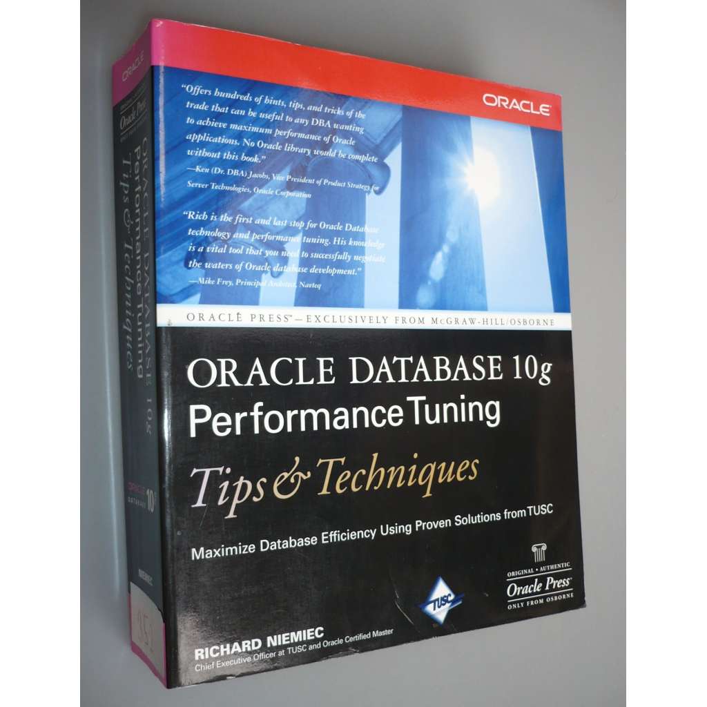 Oracle Database 10g Performance Tunning [programování, software, počítačová literatura]