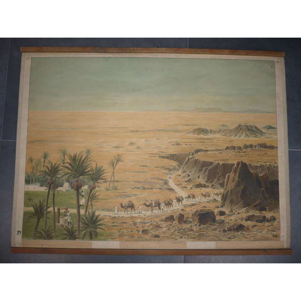 Velbloudi, sahara, písek, poušť - přírodopis - školní plakát, výukový obraz