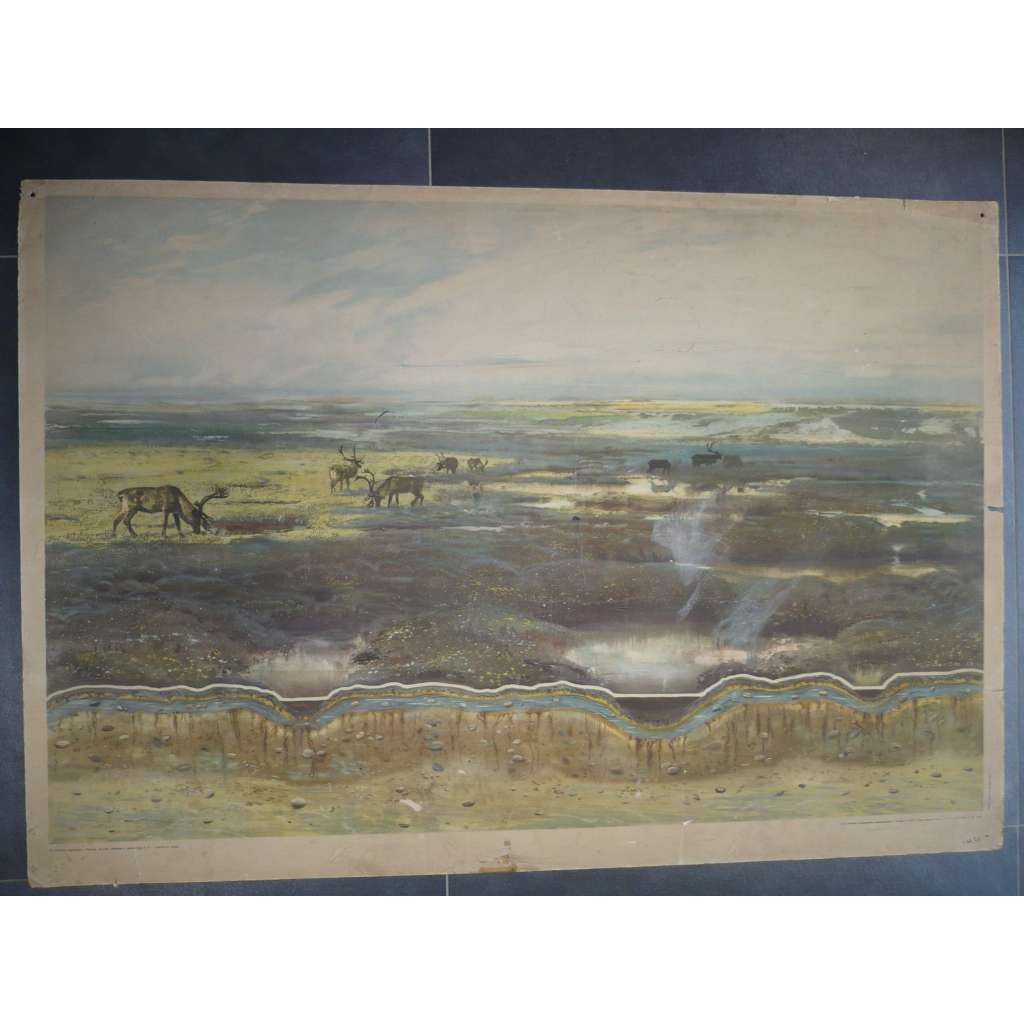 Krajina a půdní typ - tundrová půda - přírodopis, zeměpis - Zdeněk Burian - školní plakát, výukový obraz