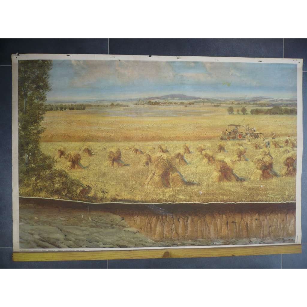 Krajina a půdní typ -  Zdeněk Burian - přírodopis - školní plakát, výukový obraz - hnědozem středoevropská neboli hnědá lesní půda