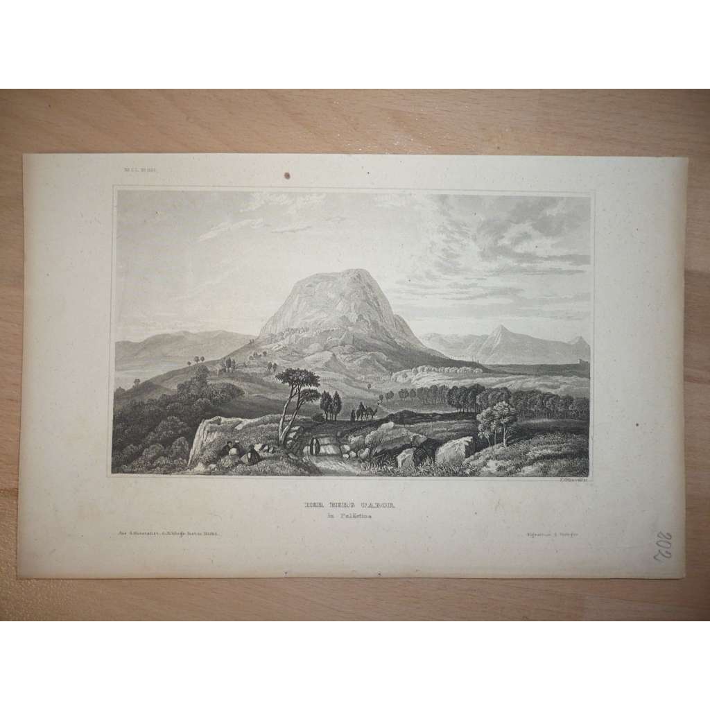 Palestina, hora Tábor - ocelorytina cca 1850, grafika, nesignováno