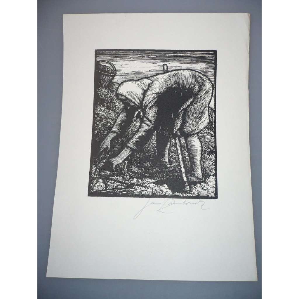 Jan Rambousek (1895 - 1976) - Sběr brambor - dřevoryt, grafika, signováno