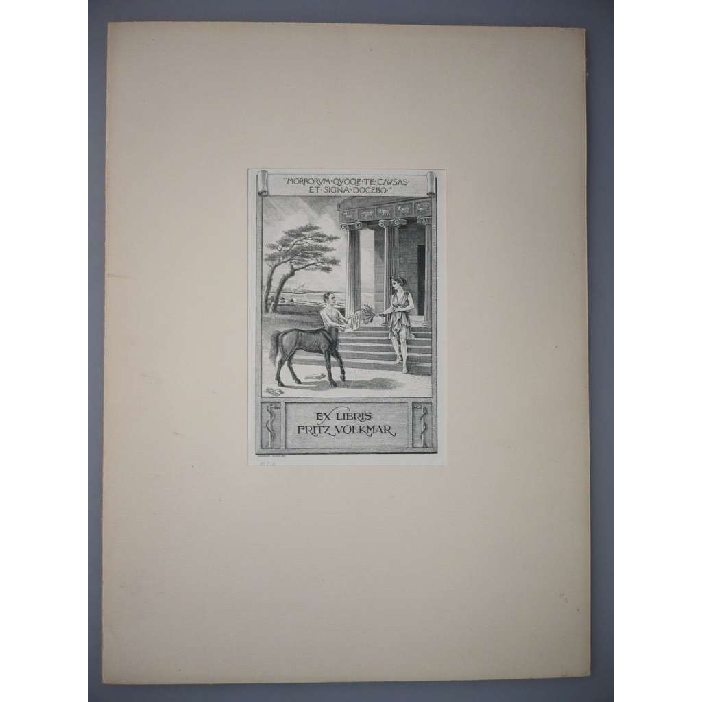 J. W. Sameson (1882 - 1939) - EX LIBRIS - lept 1930, grafika, nesignováno