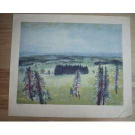 Eva Činčerová (1945 - 2005) - Lesnatá krajina - barevná litografie 1990, grafika, signováno