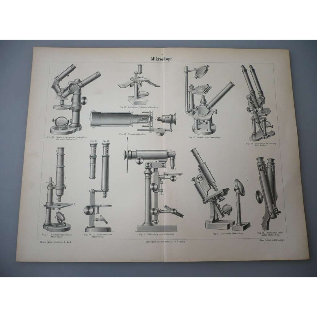 Mikroskope - mikroskop - litografie, grafika, nesignováno