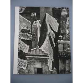 Jiří Jeníček - Střechy - [jedna fotografie ze souboru Fotografie 1928-1958]