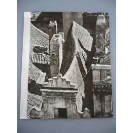 Jiří Jeníček - Střechy - [jedna fotografie ze souboru Fotografie 1928-1958]