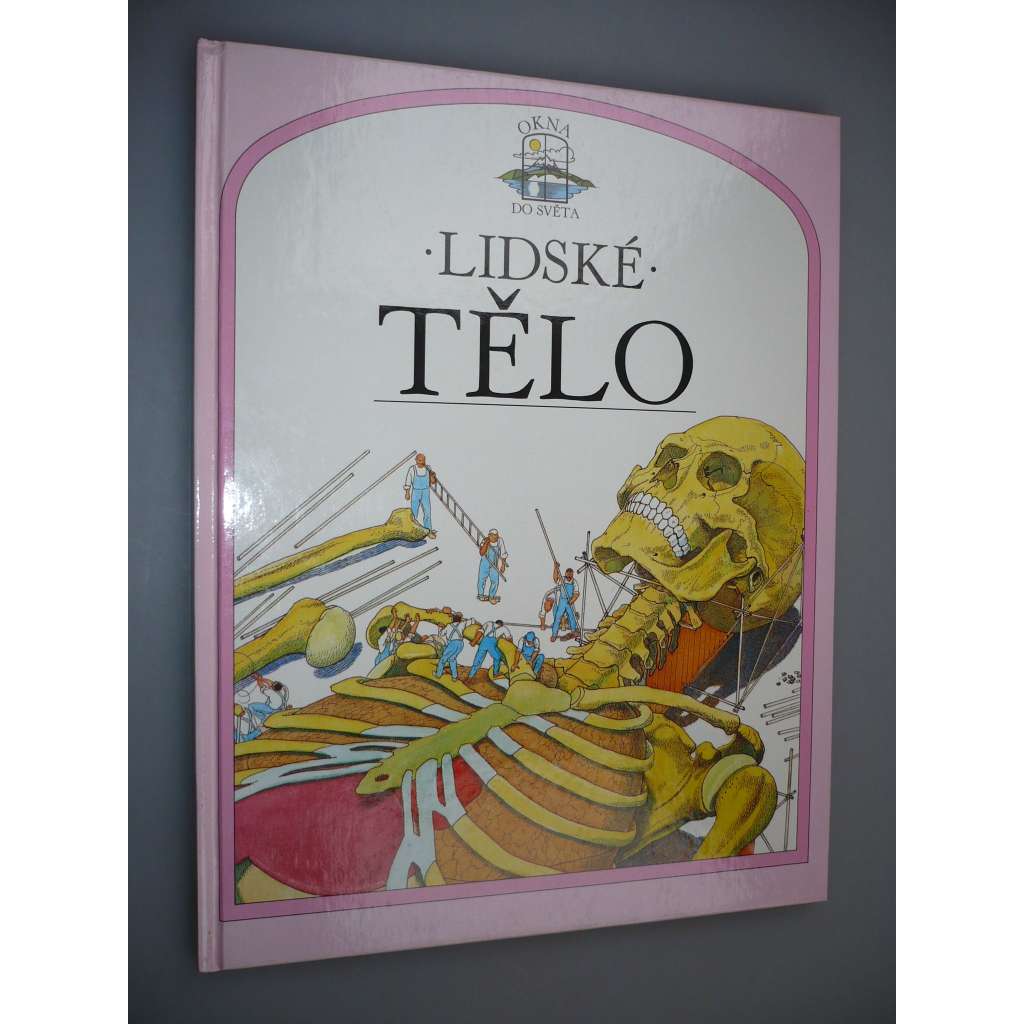 Lidské tělo [lékařství]