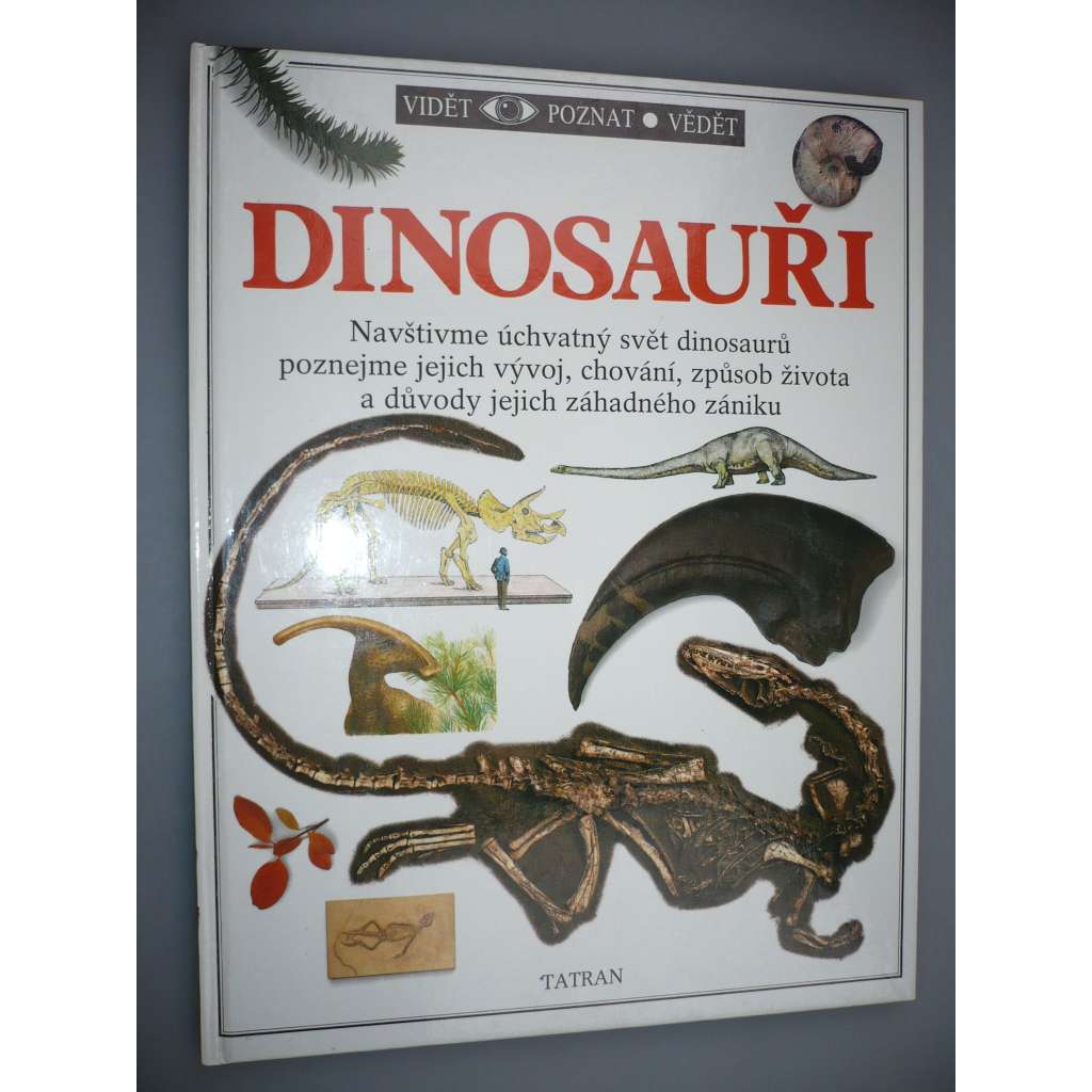 Dinosauři