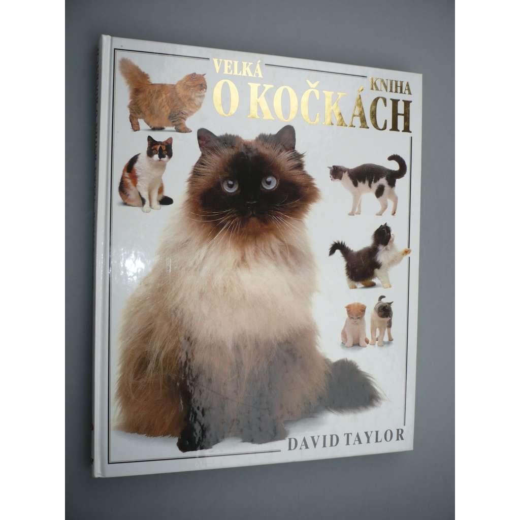 Velká kniha o kočkách [kočky, kočka]