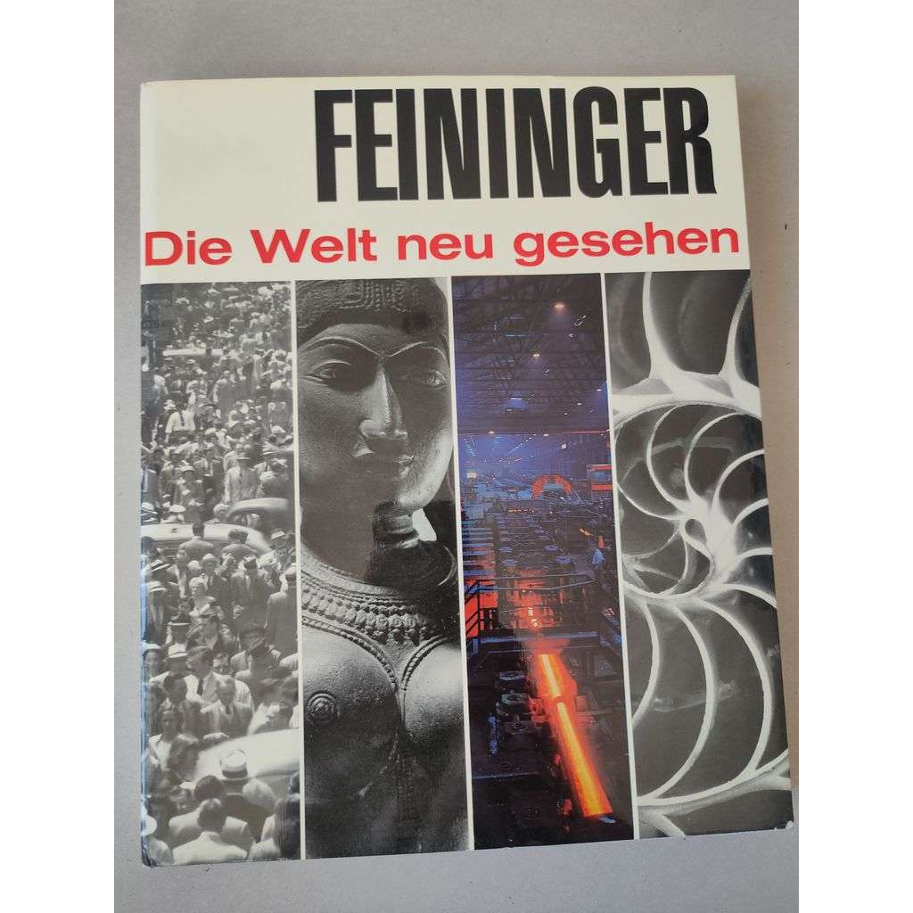Feininger. Die Welt neu gesehen [fotografie]