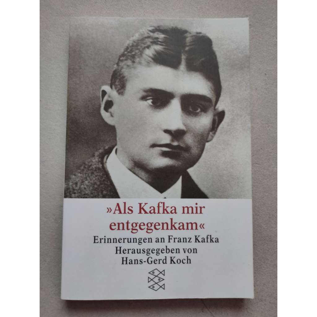 Als Kafka mir entgegenkam [Franz Kafka]