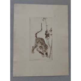 Josef Hlaváček (1952) - tygr v džungli - suchá jehla, grafika, signováno