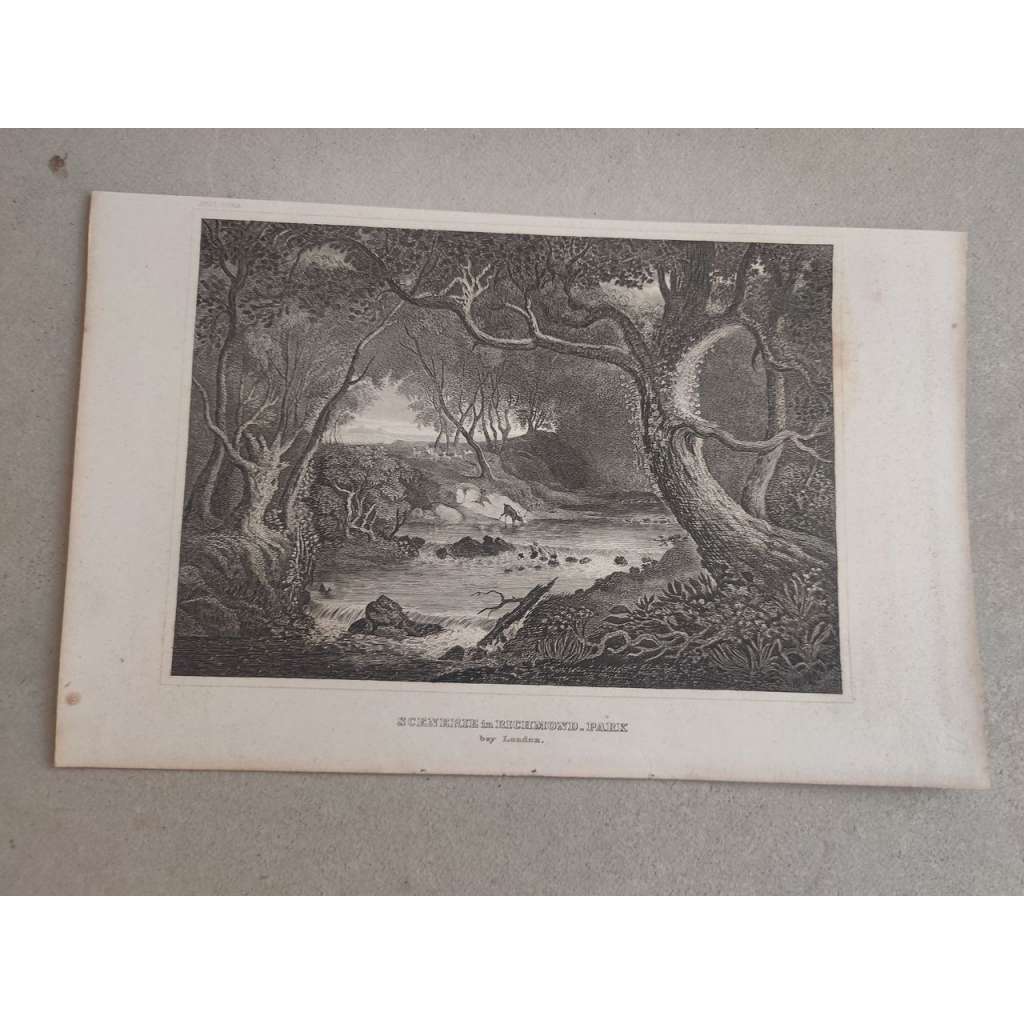 Meyer - Londýnský Richmond Park - oceloryt cca 1850, grafika, nesignováno
