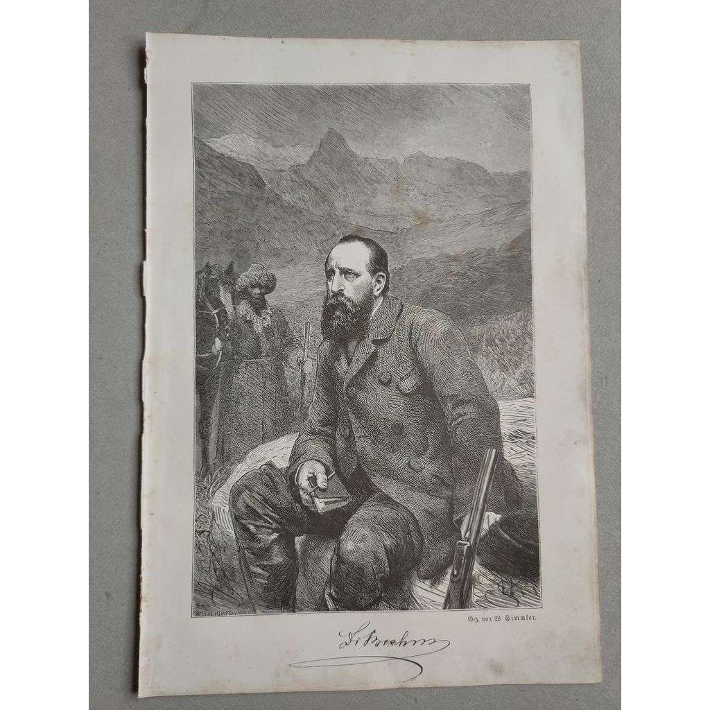 Alfred Brehm (2.2.1829 - 11.11.1884), zoolog, spisovatel, Německo - xylografie, nepaspartovaná grafika, nesignováno