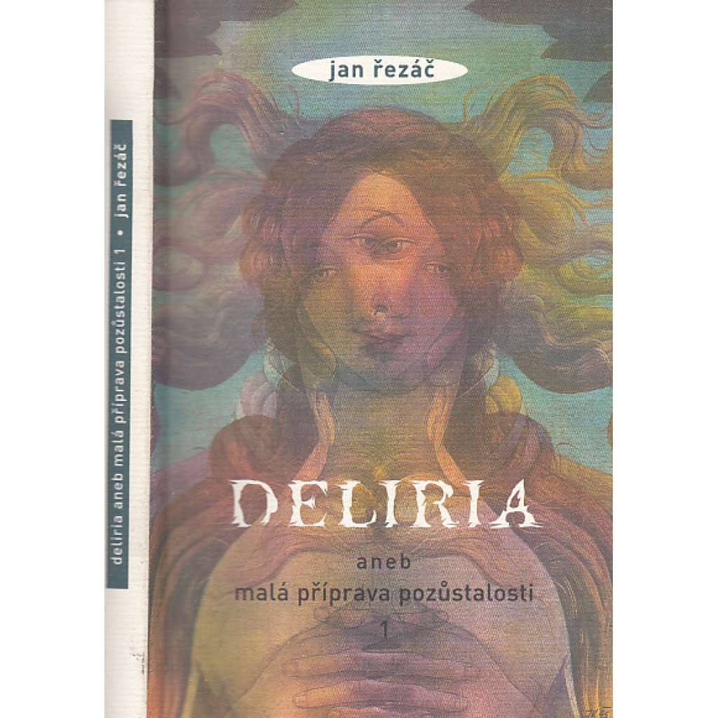 Deliria aneb Malá příprava pozůstalosti I.