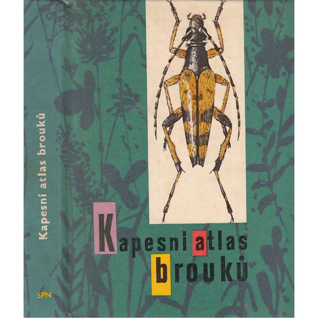 Kapesní atlas brouků (brouci, hmyz) s určovacím klíčem vyobrazených druhů