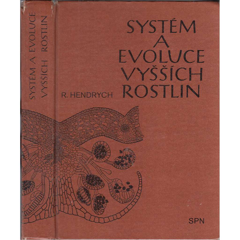 Systém a evoluce vyšších rostlin