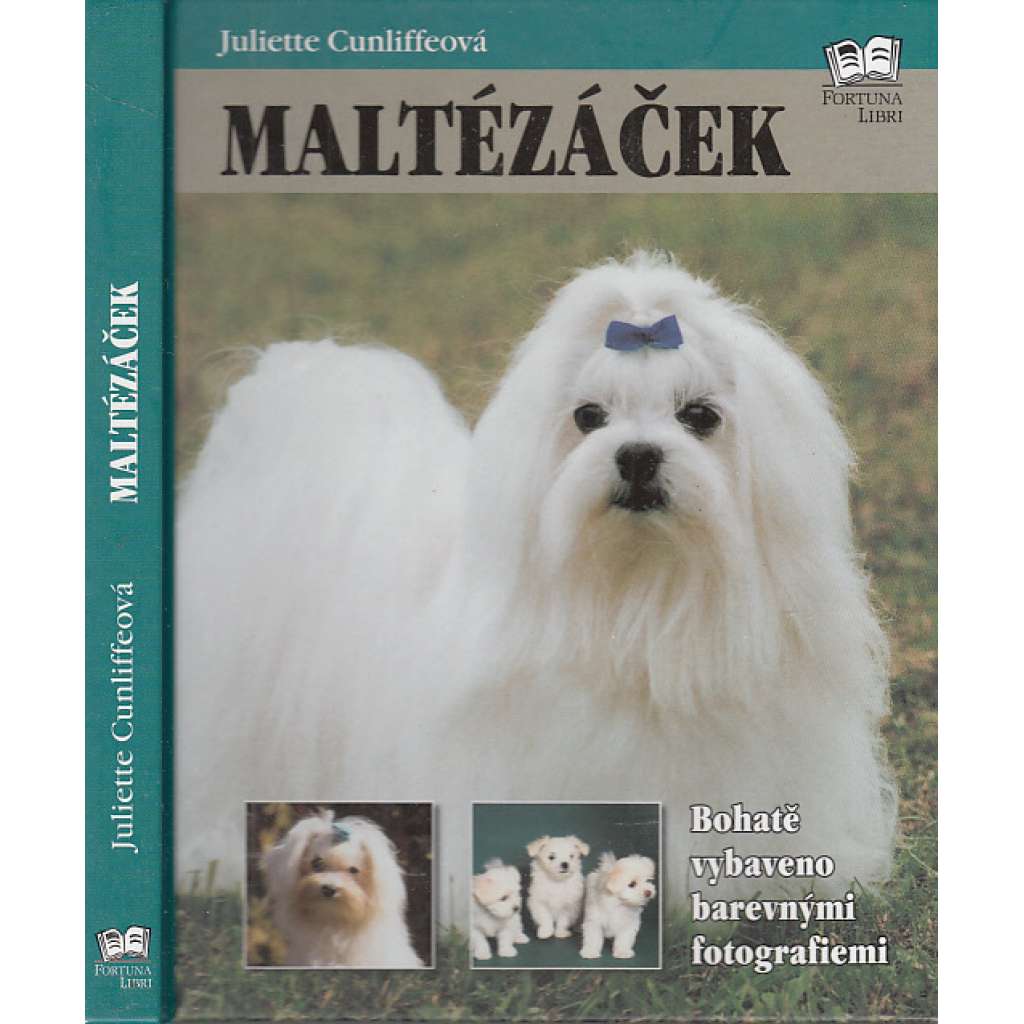 Maltézáček (maltézský psík)