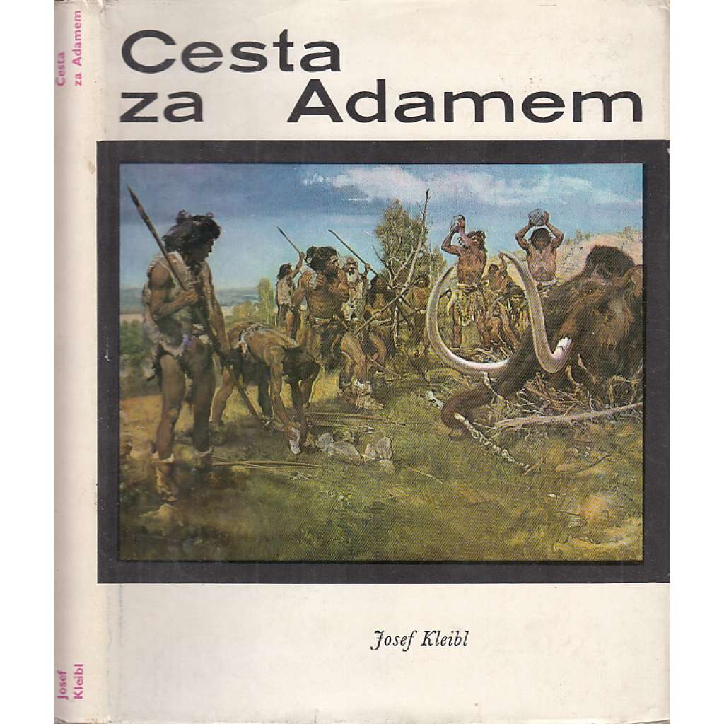 Cesta za Adamem