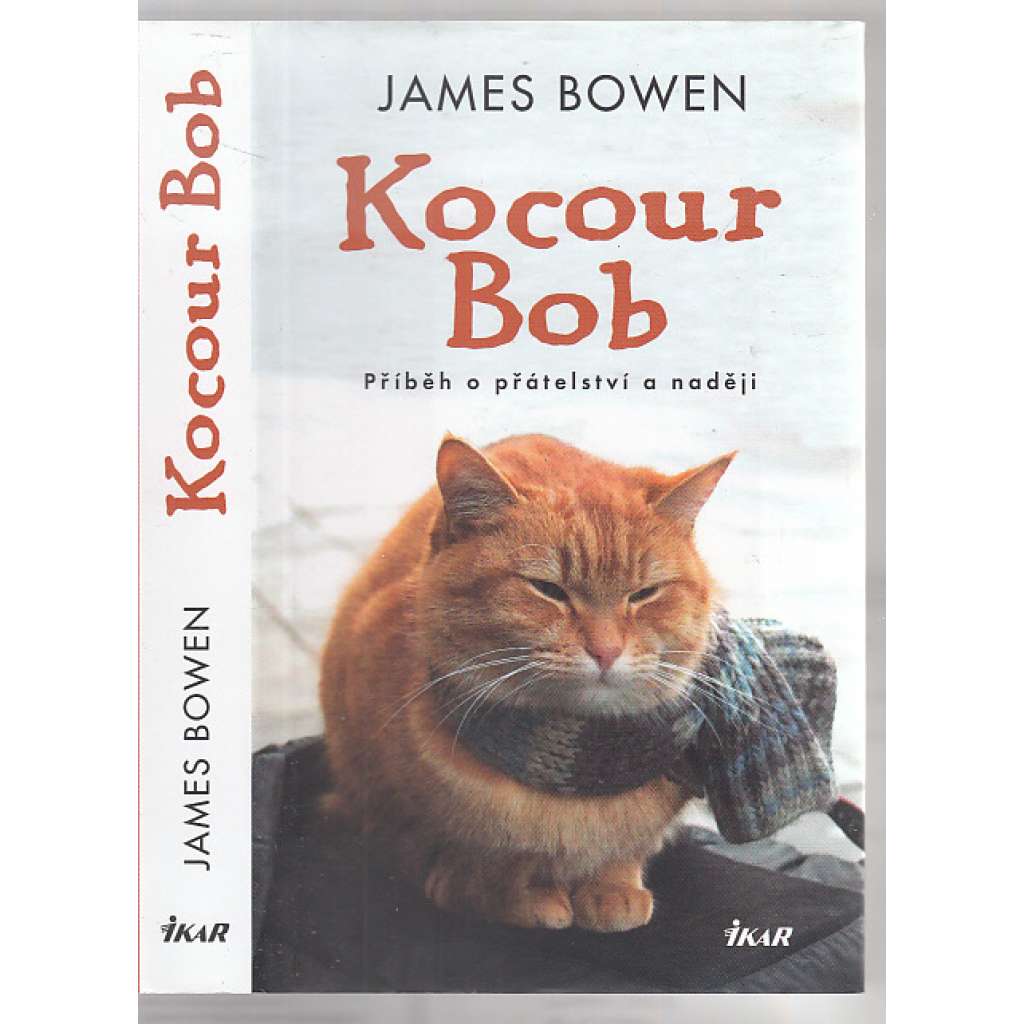 Kocour Bob