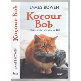 Kocour Bob