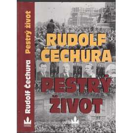 Pestrý život (román)