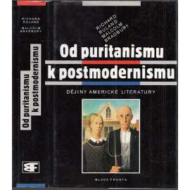 Od puritanismu k postmodernismu. Dějiny americké literatury [USA, Spojené státy americké]