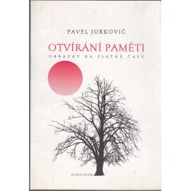 Otvírání paměti: obrázky na plátně času