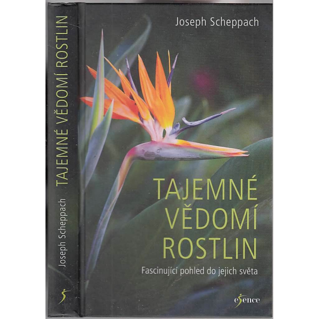 Tajemné vědomí rostlin